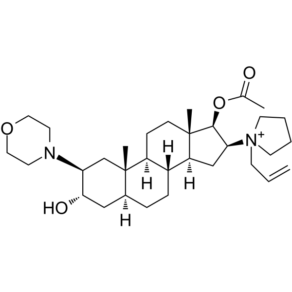 Rocuronium 143558-00-3